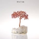 SERTİFİKALI Çilek Kuvars, Kristal Kuvars  Orjinal ( Taşlar) Doğaltaş Ağaç 10x7 cm, D028