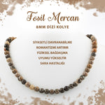 SERTİFİKALI Fosil Mercan 8 mm Dizi Doğal Taş Kolye