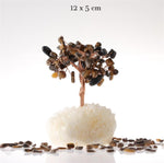 SERTİFİKALI Kaplan Gözü, Kristal Kuvars  Orjinal ( Taşlar) Doğaltaş Ağaç 12x5 cm, D025