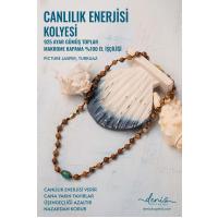 Sertifikalı Canlılık Enerjisi Kolyesi - El Yapımı (Picture Jasper-Turkuaz)